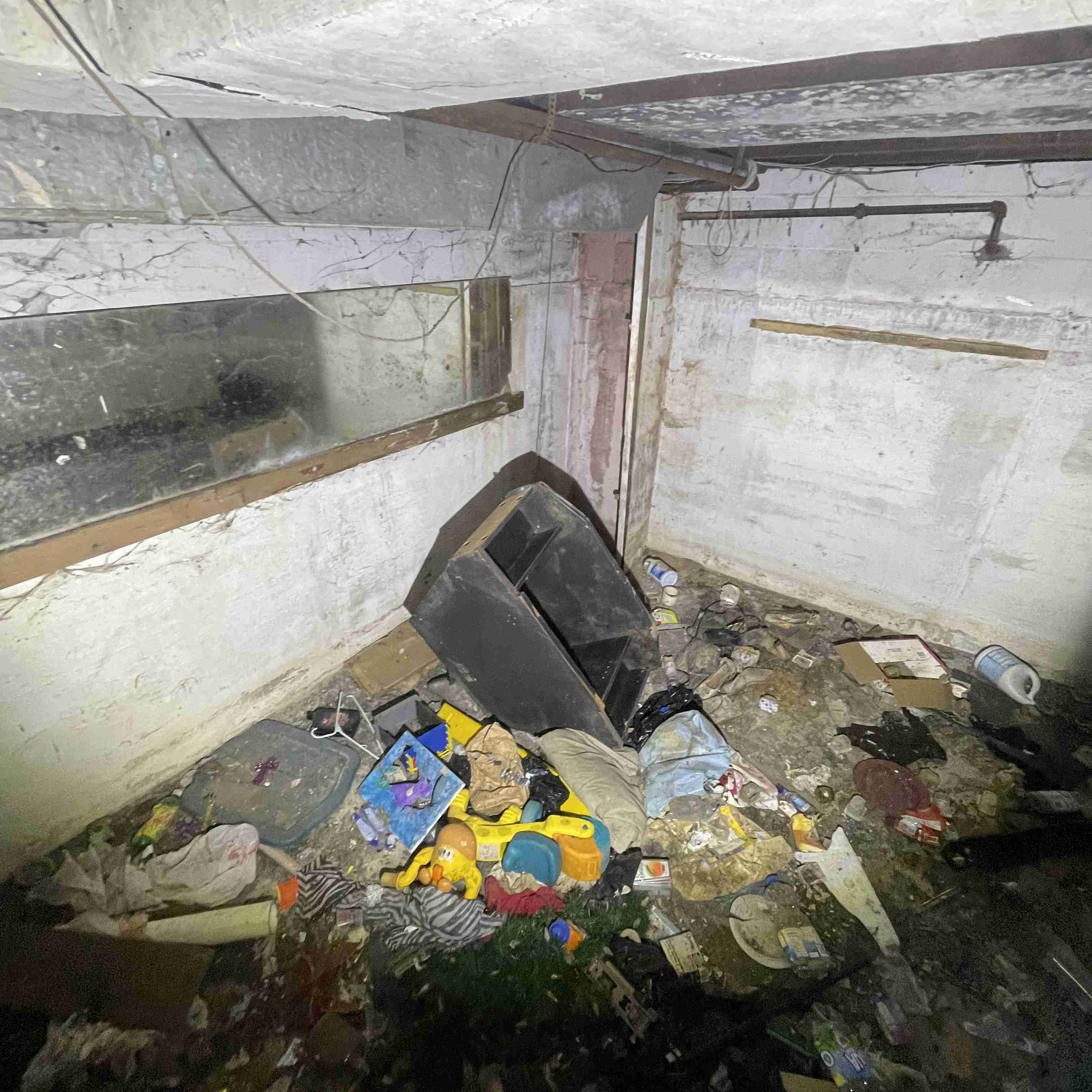 20015 Schoenherr (38).jpg